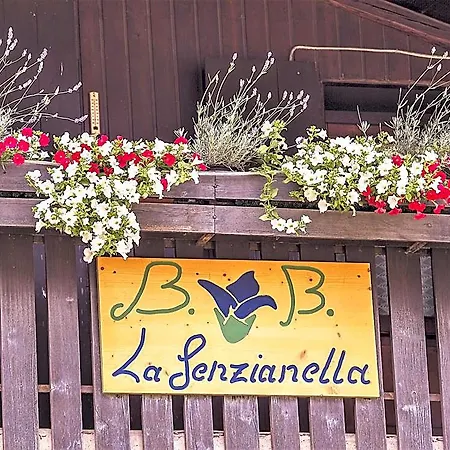 La Genzianella Couette-café Perarolo di Cadore