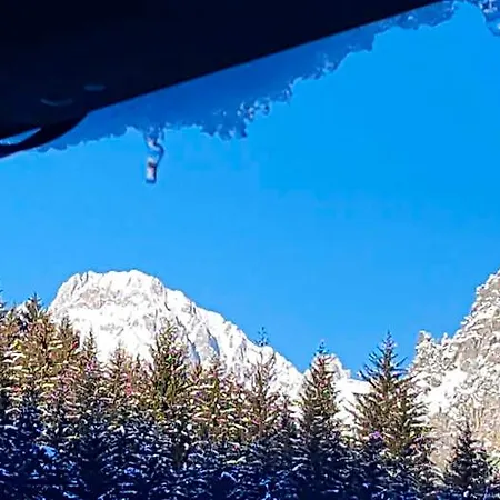 La Genzianella Perarolo di Cadore