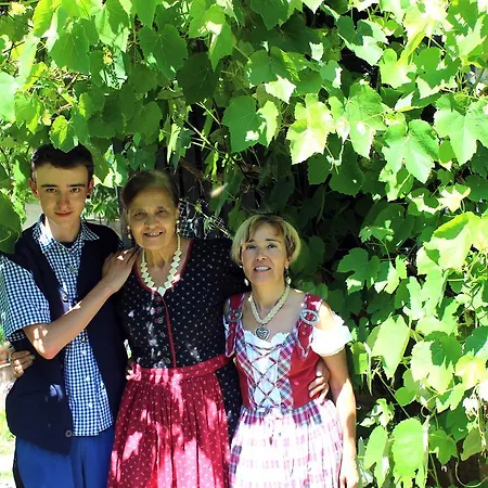 La Genzianella 3* Perarolo di Cadore