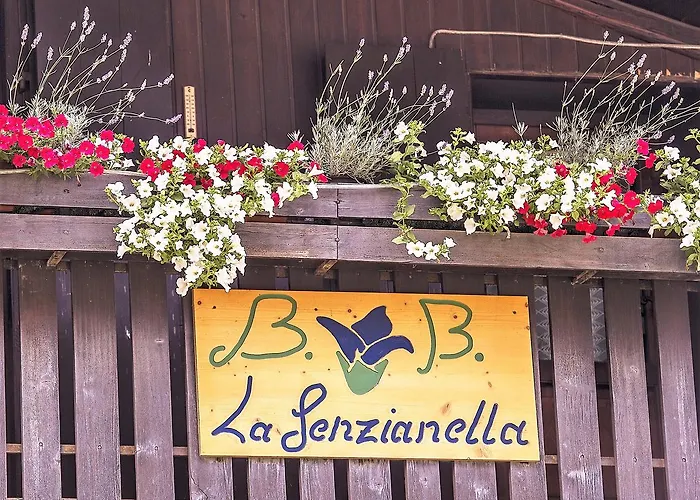 根兹内拉住宿加早餐旅馆 3* Perarolo di Cadore